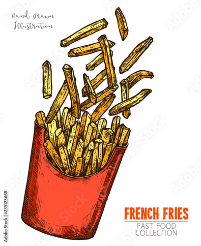 Red cardboard box with French fries, handdrawn sketch isolated on white background. Popular fast food dish. Color image in engraving style. Vector illustration