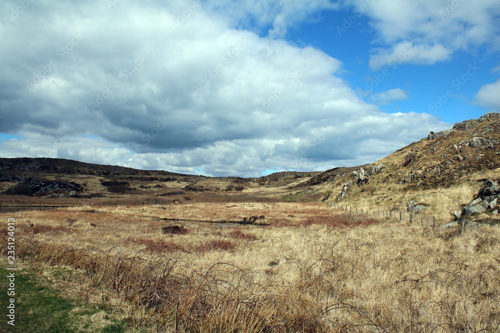 Springtime, Kilcrohane  County Cork, Ireland.