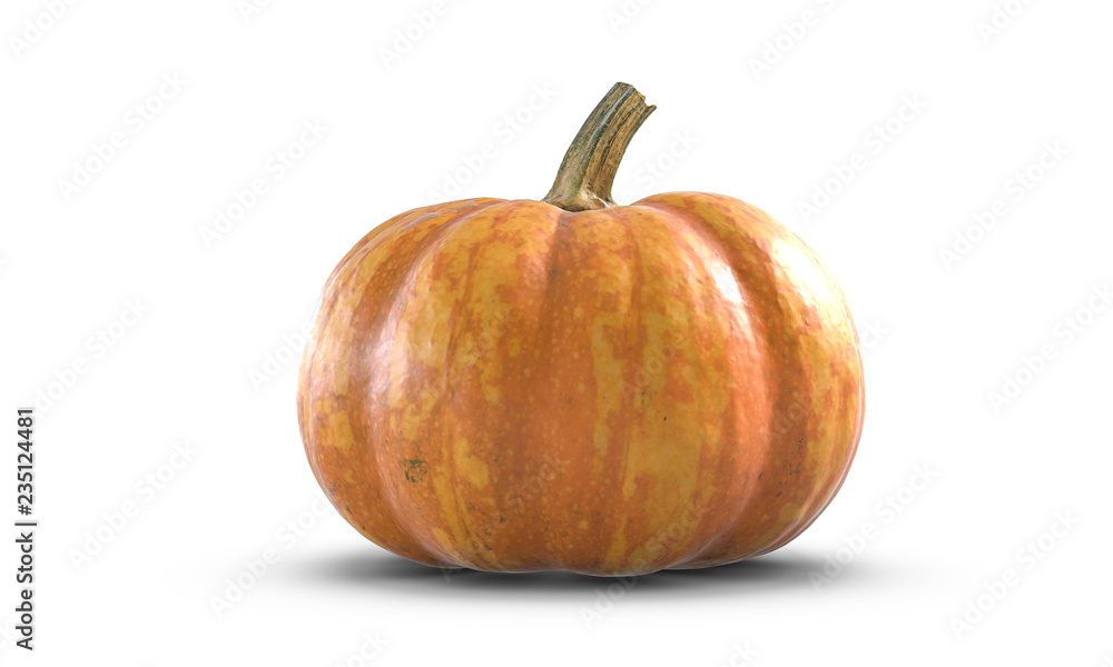 3D illustration of Pumpkin isolated on white background 3D illustration of Pumpkin isolated on white background