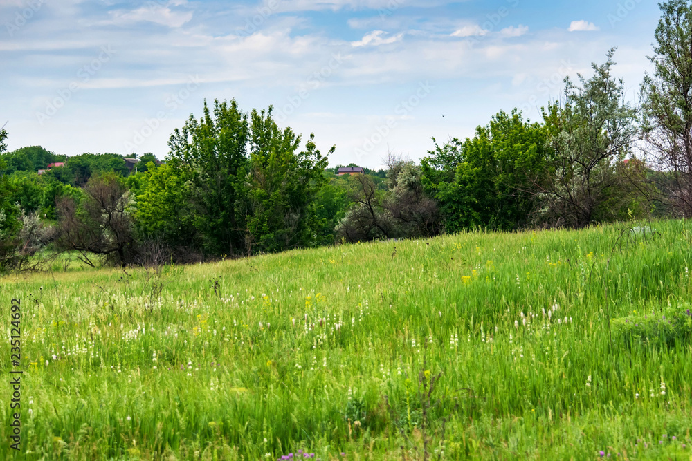 Russian countryside with green trees in summer Russian countryside with green trees in summer
