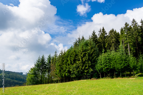 Fototapeta Naklejka Na Ścianę i Meble -  Germany, Perfect edge of black forest nature landscape with sun and blue sky