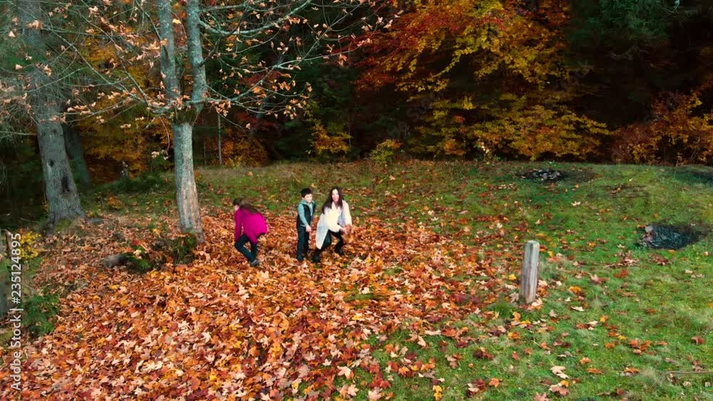 Mom and her children have fun in the autumn forest. They jump and throw leaves into the air. They are laughing. The family is happy. Slow motion. Mom and her children have fun in the autumn forest. They jump and throw leaves into the air. They are laughing. The family is happy. Slow motion.