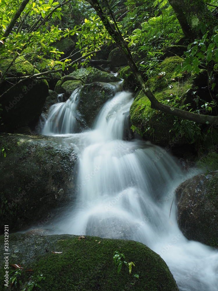 Obraz premium YAKUSHIMA