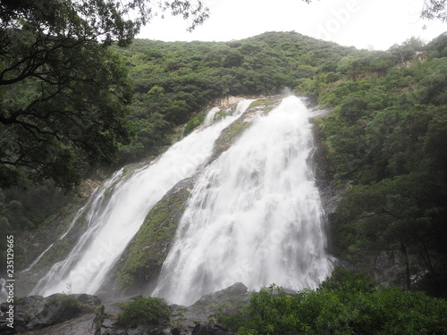 YAKUSHIMA