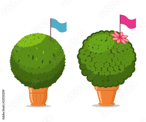 Manjerico plant with flag in a pot. Vector cartoon illustration isolated on a white background.