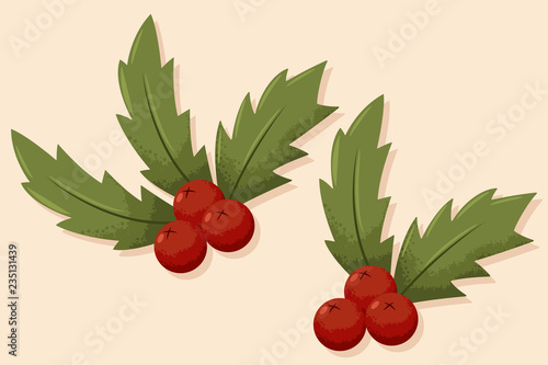 Christmas holly berry leaves. Vector cartoon holiday vintage decoration element isolated on background.