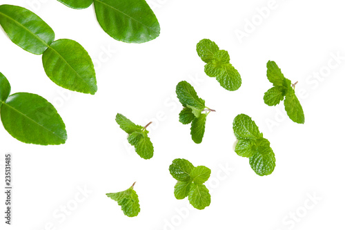 Mint leaves and lime leaves on white background