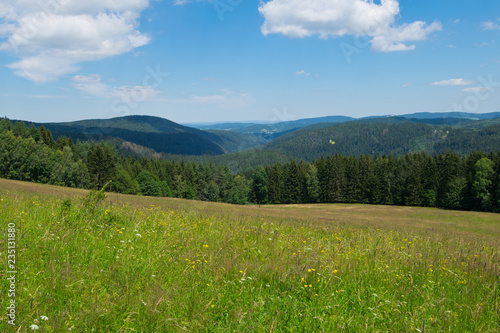 Panorama of Bohemian Forest in the springtime.