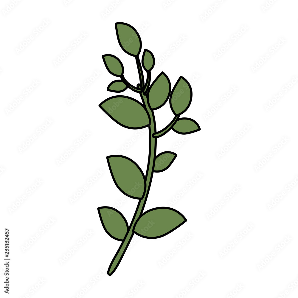 branch with leafs icon