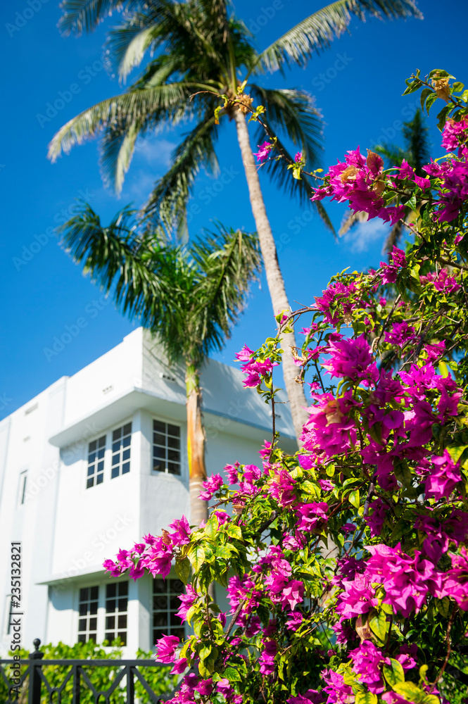 Colorful detail of classic Art Deco architecture with palm trees and bougainvillea under bright blue sky in Miami, Florida, USA