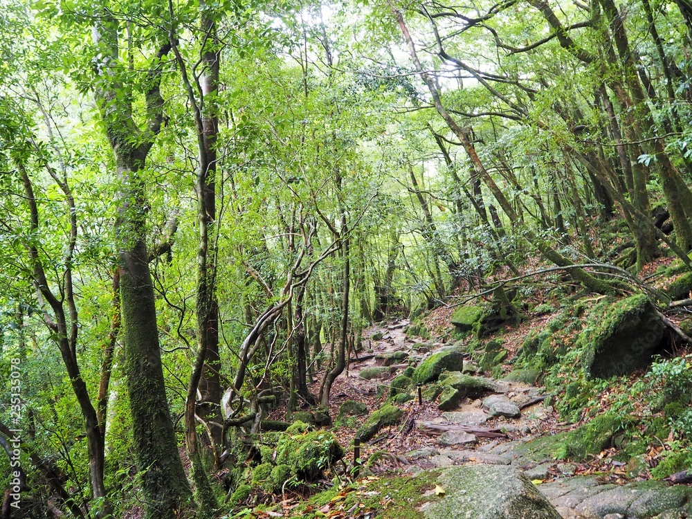 YAKUSHIMA