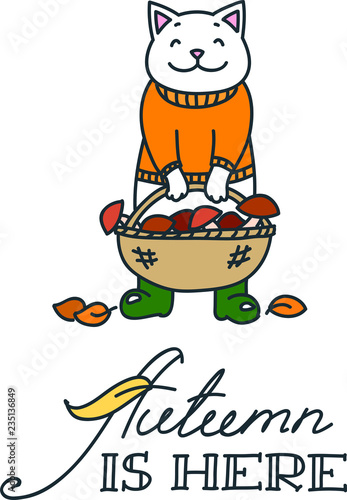 Autumn is here. Doodle illustration of cute mushroom picker cat with basket of mushrooms. Can be used for t-short print, poster or card. Vector 8 EPS