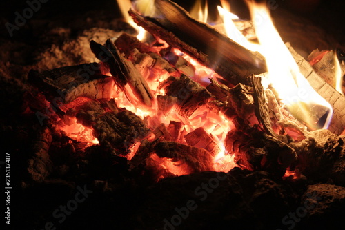 coals of a campfire in the forest close-up