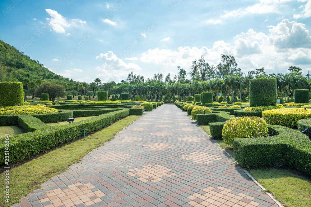 Obraz premium Walkway in beautiful tropical garden landscape in nature city park in summer season sunny day with blue sky white clouds. Green nature environmental concept.