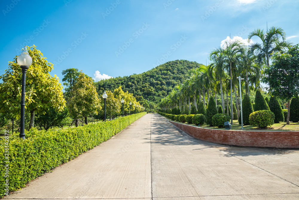 Street in beautiful tropical garden landscape in nature city park in summer season sunny day with blue sky white clouds. Green nature environmental concept.