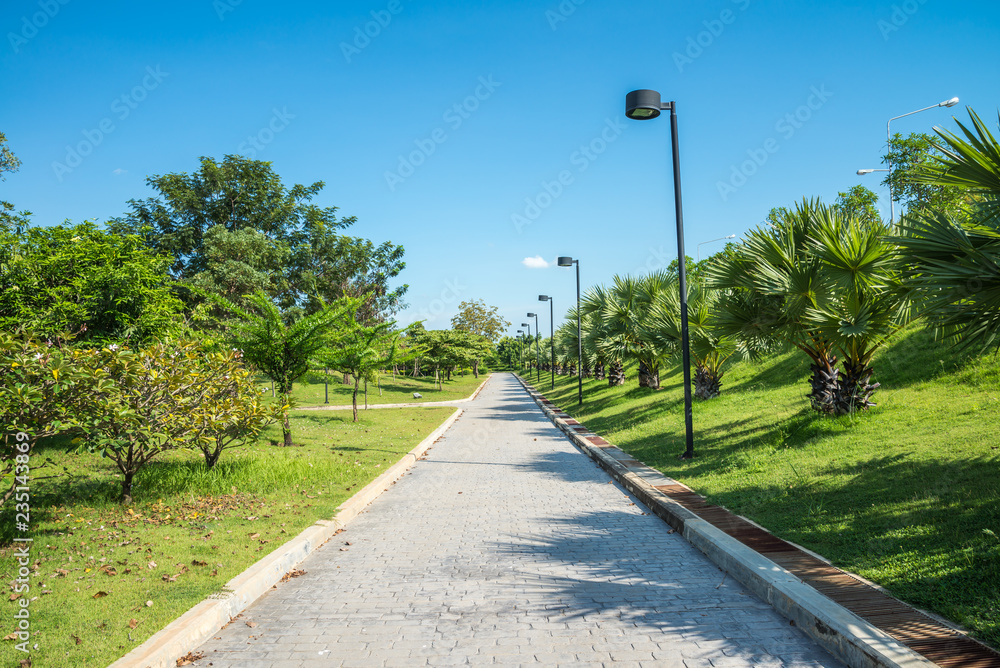 Walkway in beautiful tropical garden landscape in nature city park in summer season sunny day with blue sky white clouds. Green nature environmental concept.