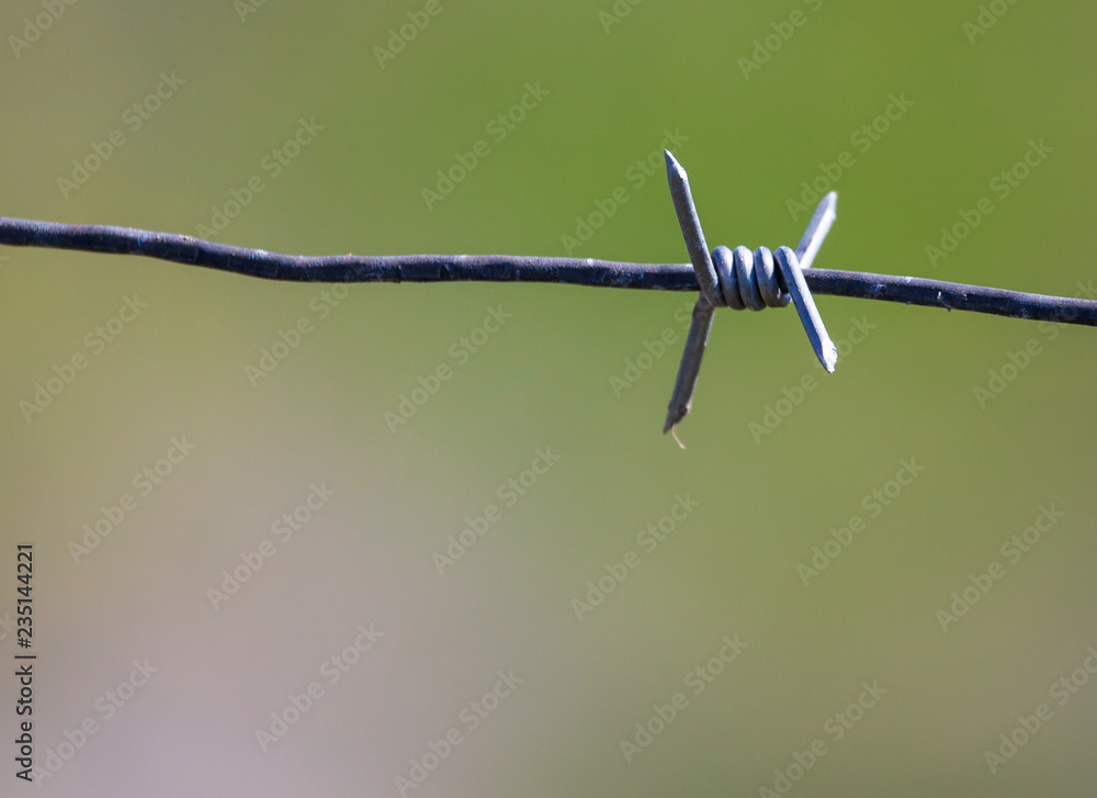 Metal barbed wire on nature as background