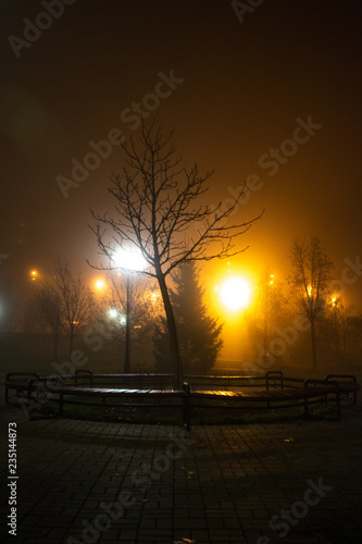 fog at city
