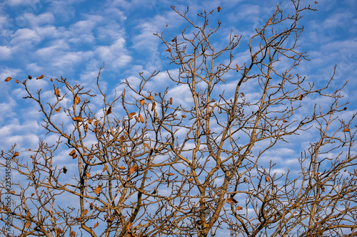 The sky is a photo theme before an eye always. Cannot be got bored game.
