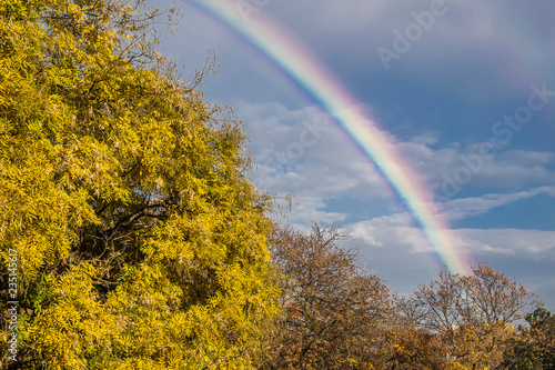  After a summer rain futóztam our balcony