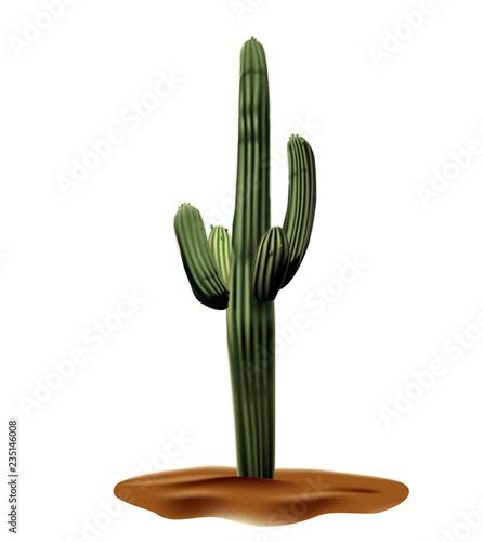 Super Realistic desert cactus Carnegia giant. Plant of desert among textured gradient sand. Realistic 3d volume vector illustration isolated on white background.saguero