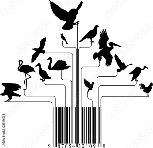 BARCODE PEOPLE IDENTIFICATION