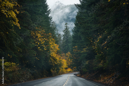 Oregon Roads & Autumn photo