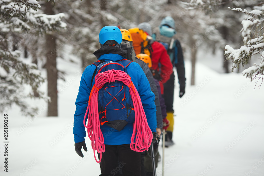 A group of climbers goes to the winter woods in the highlands.