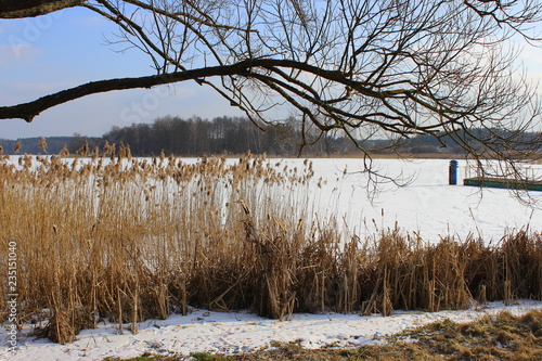 Fototapeta Naklejka Na Ścianę i Meble -  Zima jeziorp