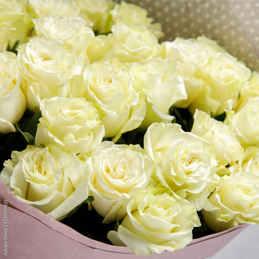 Closeup square photo of red and pink, white roses Closeup square photo of red and pink, white roses