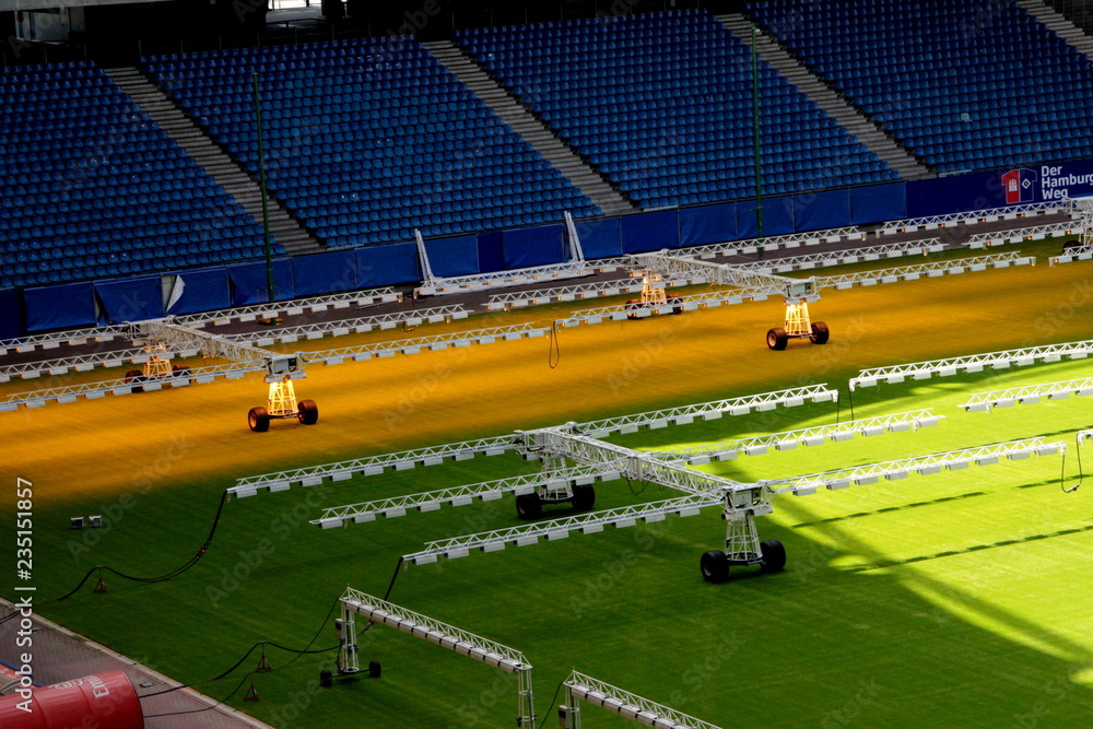 Obraz premium Gelber Rasen