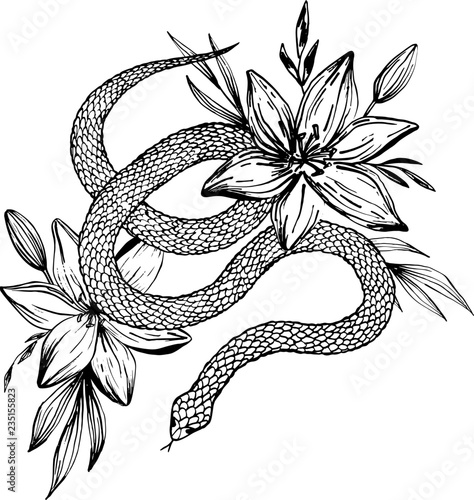 Hand drawn ink snake and lilies flowers, vector illustration. Snake silhouette illustration. Vector tattoo design. Graphic sketch for posters, tattoo, clothes, t-shirt design, pins, patches, stickers.