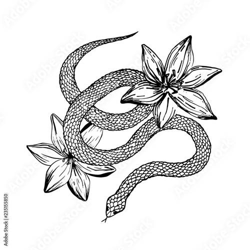 Hand drawn ink snake and lilies flowers, vector illustration. Snake silhouette illustration. Vector tattoo design. Graphic sketch for posters, tattoo, clothes, t-shirt design, pins, patches, stickers.