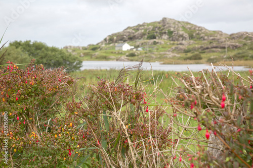 Glassillaun Beach, Connemara National Park photo