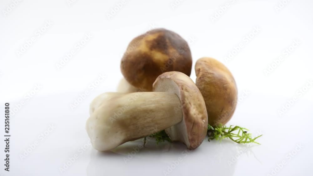 Raw wild Boletus mushrooms rotated on white background. Ceps. Boletus edulis. Organic fresh mushrooms closeup. 4K UHD video footage. 3840X2160 Raw wild Boletus mushrooms rotated on white background. Ceps. Boletus edulis. Organic fresh mushrooms closeup. 4K UHD video footage. 3840X2160