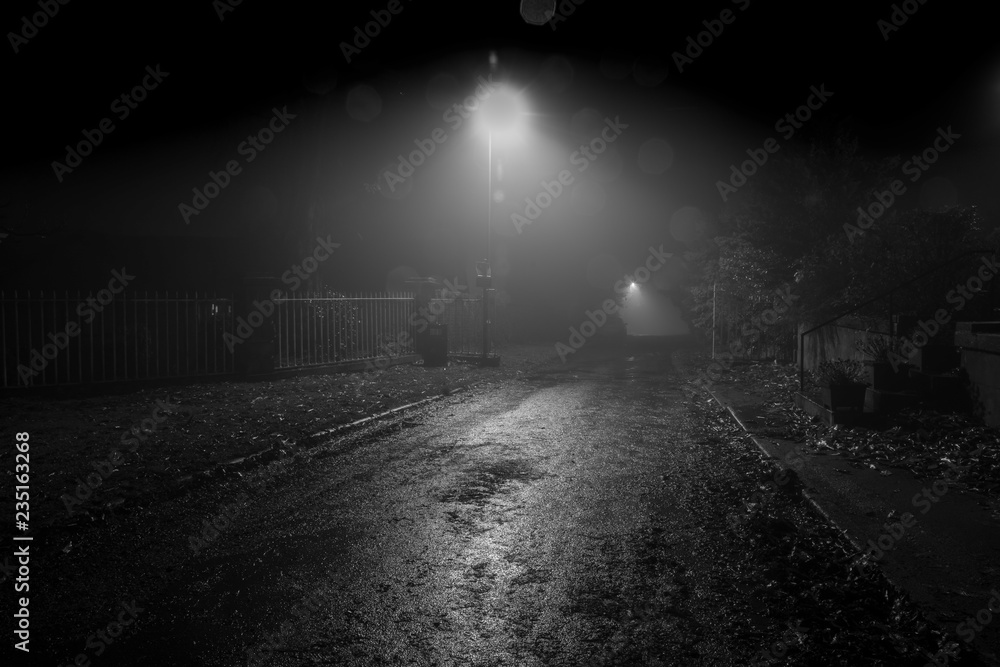 black and white photograph foggy dark road lit by streetlamps