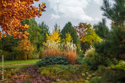 Beautiful alpine hill with trees, shrubs and ornamental grasses in the autumn park. It's a nasty day.