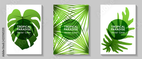 Tropical paradise leaf vector cover layout.