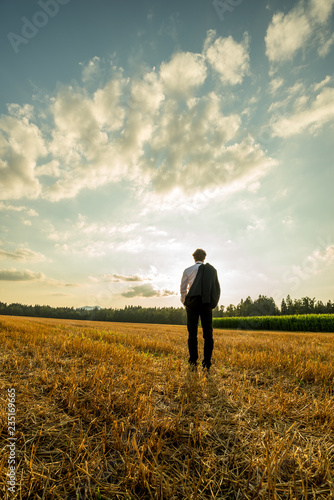 Businessman standing with his back to the camera in the sawn field © Gajus