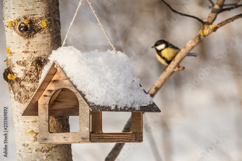 Titmouse sitting near the bird feeders / little bird chickadee © ksubogdanova