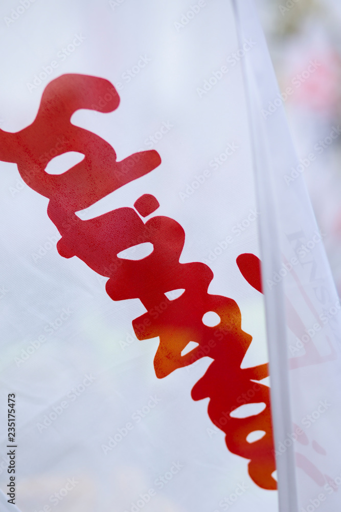 Solidarnosc flag during a demonstration in Warsaw, Poland - obrazy, fototapety, plakaty 