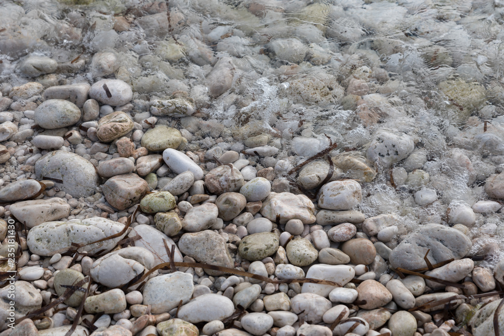 shore with stones