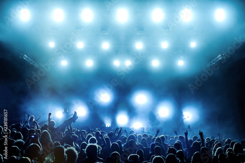 Rock concert, silhouettes of people raising hands up and crowdsurfing © Zamrznuti tonovi