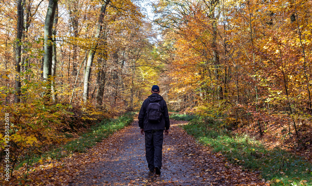Fototapeta premium Men in black walking alone in a colorful autumn forest.