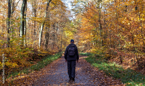 Men in black walking alone in a colorful autumn forest. © eddi_m