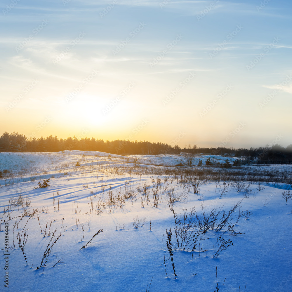 winter snowbound plain at the sunrise