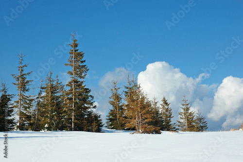 Winter mountain landscape with snow covered road forest hills snow and blue sky with clouds