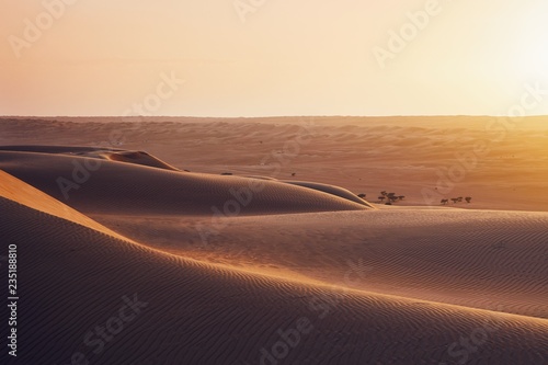 Fototapeta Naklejka Na Ścianę i Meble -  Sand dunes at sunset