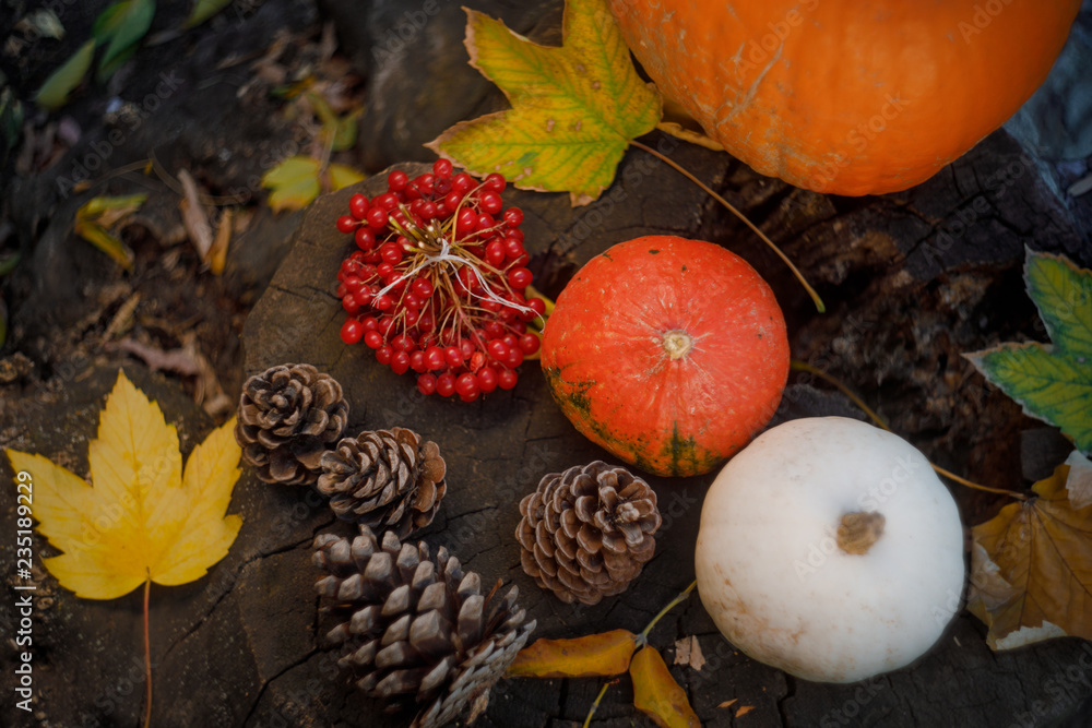 autumn still life with pumpkins and leaves