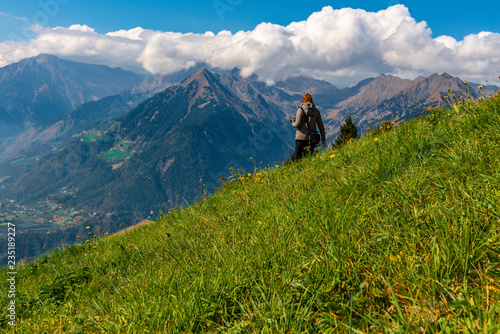 Wanderweg über eine Blumenwies in den Südtiroler Alpen  © consultdm15